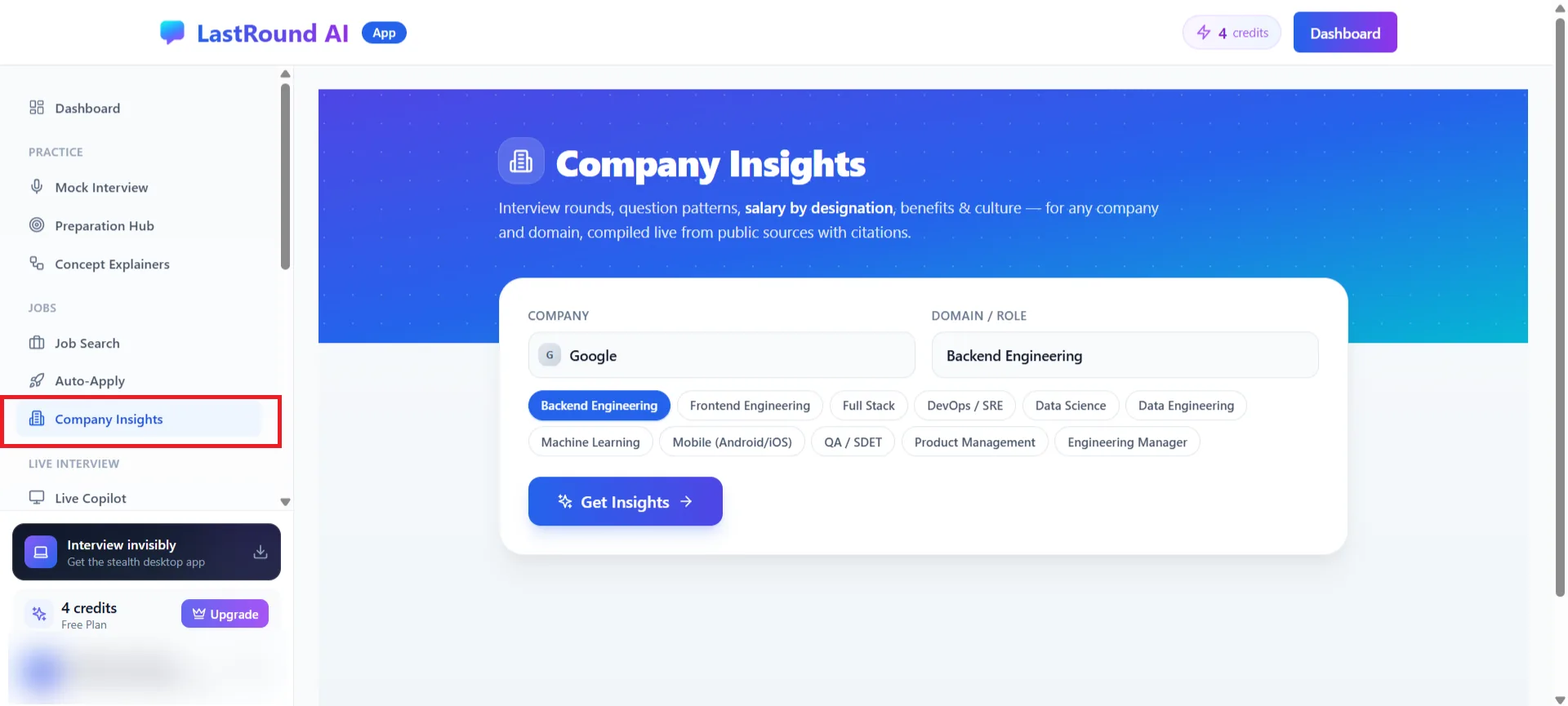 Company Insights form with the Company field, Domain / Role chips and the Get Insights button
