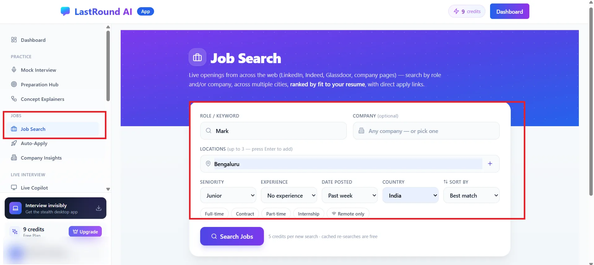 Job Search form with role keyword, company, locations, seniority, experience, date posted, country, sort and employment type filters